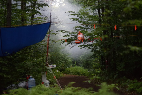 Rumi2017D A tarp is roped to trees on a misty morning in the forest.